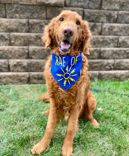 Dog Bandana